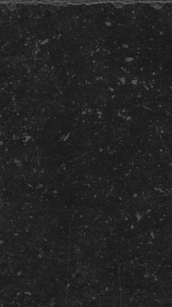 BELGIUM STONE