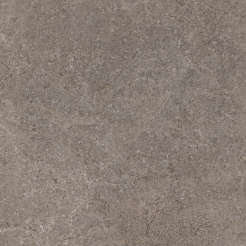 TIBET OLIVE